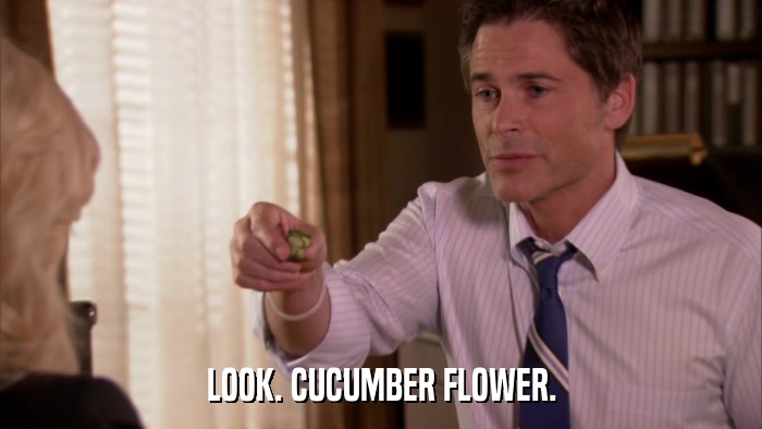 LOOK. CUCUMBER FLOWER.  