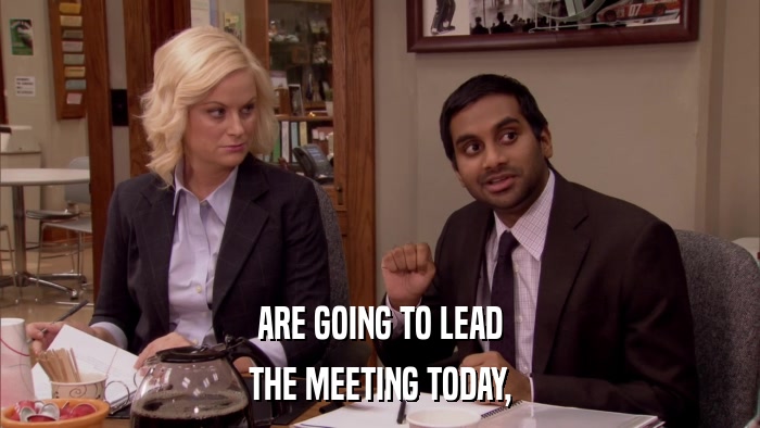 ARE GOING TO LEAD THE MEETING TODAY, 