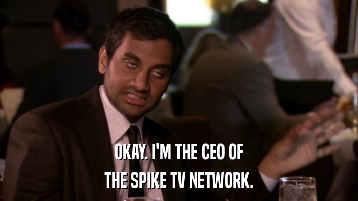 OKAY. I'M THE CEO OF THE SPIKE TV NETWORK. 