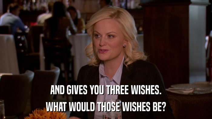 AND GIVES YOU THREE WISHES. WHAT WOULD THOSE WISHES BE? 