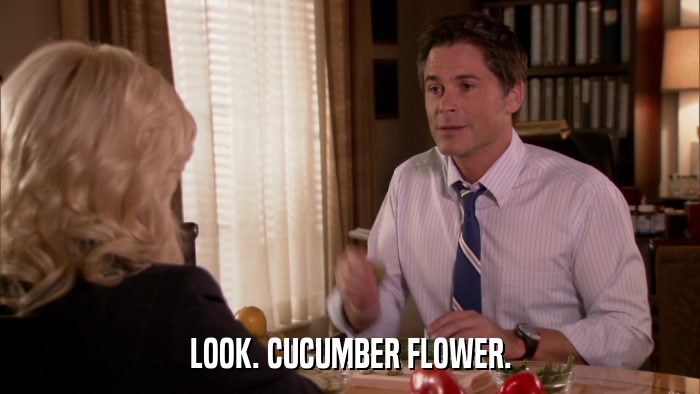 LOOK. CUCUMBER FLOWER.  