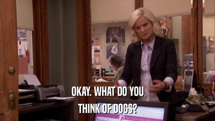 OKAY. WHAT DO YOU THINK OF DOGS? 