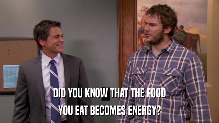 DID YOU KNOW THAT THE FOOD YOU EAT BECOMES ENERGY? 