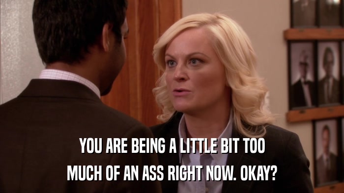 YOU ARE BEING A LITTLE BIT TOO MUCH OF AN ASS RIGHT NOW. OKAY? 