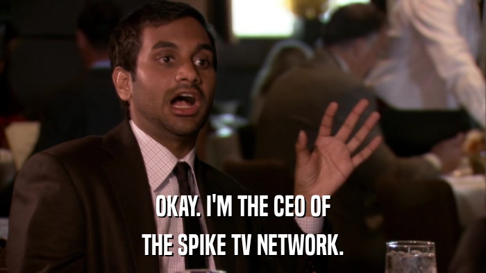 OKAY. I'M THE CEO OF THE SPIKE TV NETWORK. 