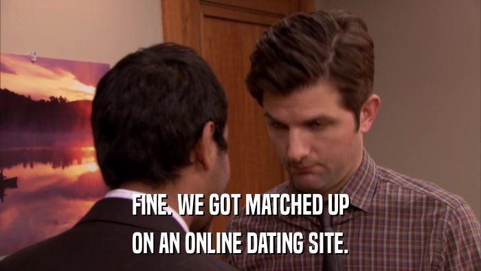 FINE. WE GOT MATCHED UP ON AN ONLINE DATING SITE. 