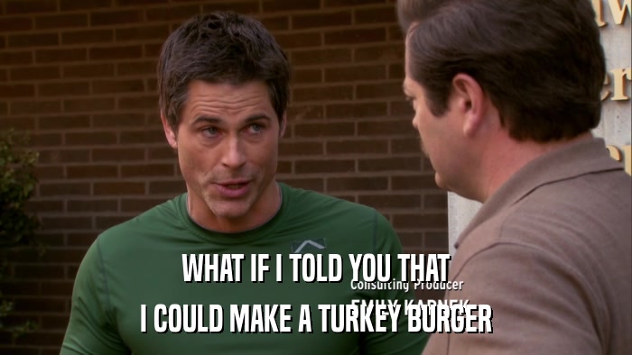WHAT IF I TOLD YOU THAT I COULD MAKE A TURKEY BURGER 