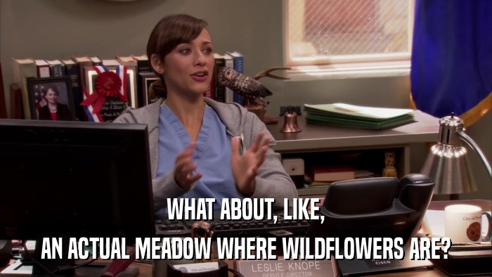 WHAT ABOUT, LIKE, AN ACTUAL MEADOW WHERE WILDFLOWERS ARE? 