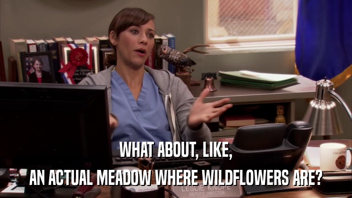 WHAT ABOUT, LIKE, AN ACTUAL MEADOW WHERE WILDFLOWERS ARE? 
