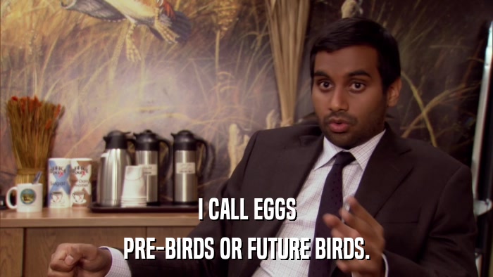 I CALL EGGS PRE-BIRDS OR FUTURE BIRDS. 