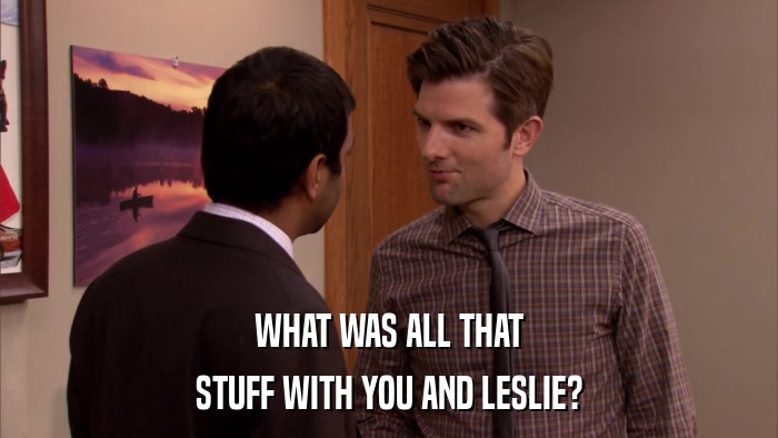 WHAT WAS ALL THAT STUFF WITH YOU AND LESLIE? 
