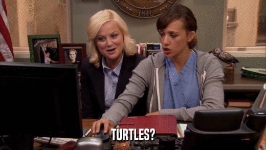 TURTLES?  