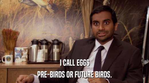 I CALL EGGS PRE-BIRDS OR FUTURE BIRDS. 