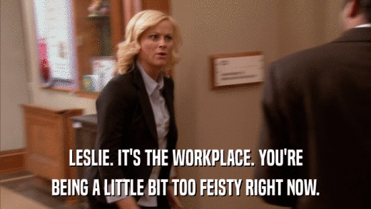LESLIE. IT'S THE WORKPLACE. YOU'RE BEING A LITTLE BIT TOO FEISTY RIGHT NOW. 