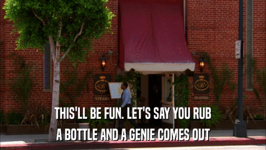 THIS'LL BE FUN. LET'S SAY YOU RUB A BOTTLE AND A GENIE COMES OUT 