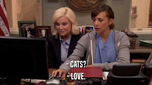 - CATS? - LOVE. 