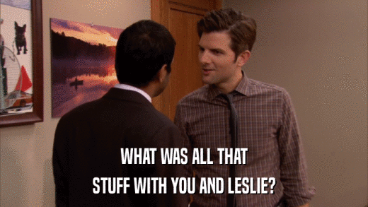 WHAT WAS ALL THAT STUFF WITH YOU AND LESLIE? 