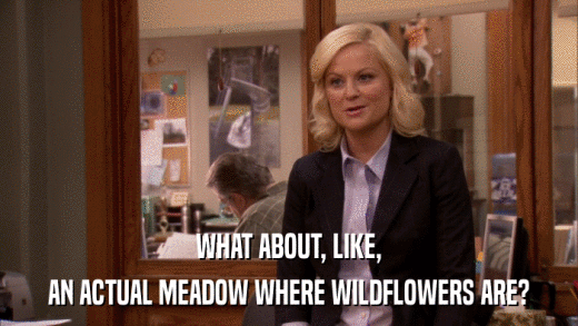 WHAT ABOUT, LIKE, AN ACTUAL MEADOW WHERE WILDFLOWERS ARE? 