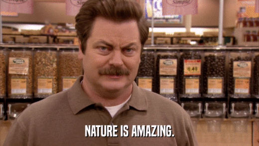 NATURE IS AMAZING.  