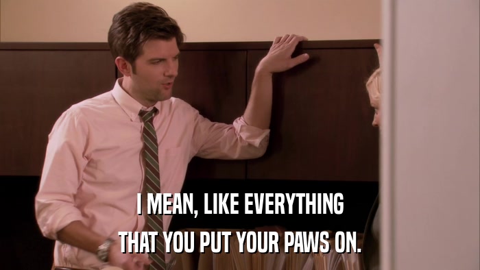I MEAN, LIKE EVERYTHING THAT YOU PUT YOUR PAWS ON. 