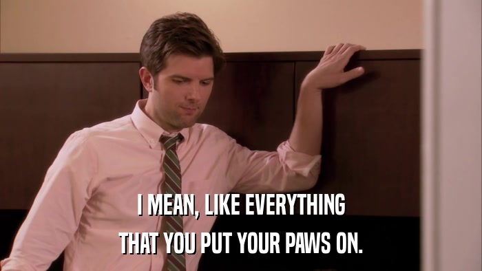 I MEAN, LIKE EVERYTHING THAT YOU PUT YOUR PAWS ON. 