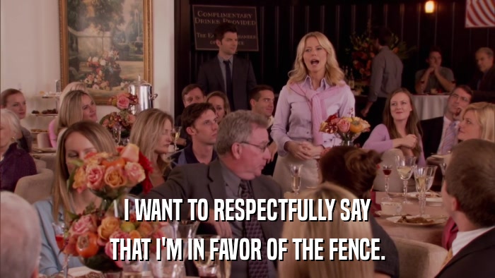 I WANT TO RESPECTFULLY SAY THAT I'M IN FAVOR OF THE FENCE. 