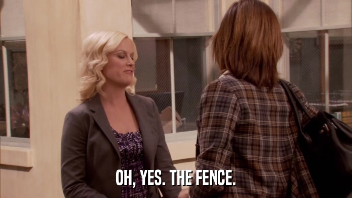 OH, YES. THE FENCE.  