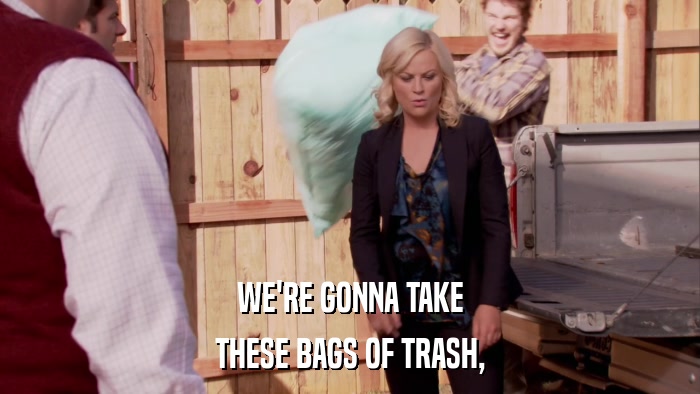 WE'RE GONNA TAKE THESE BAGS OF TRASH, 
