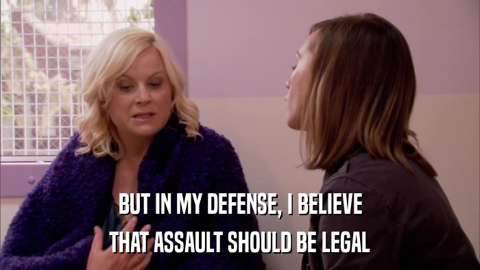 BUT IN MY DEFENSE, I BELIEVE THAT ASSAULT SHOULD BE LEGAL 