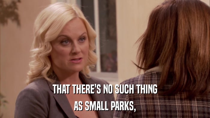 THAT THERE'S NO SUCH THING AS SMALL PARKS, 