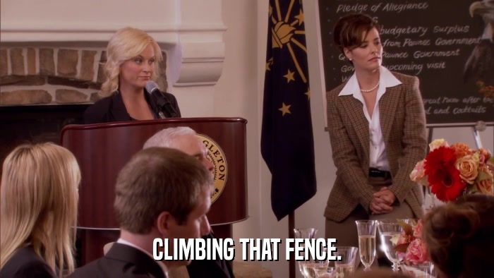 CLIMBING THAT FENCE.  