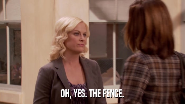 OH, YES. THE FENCE.  