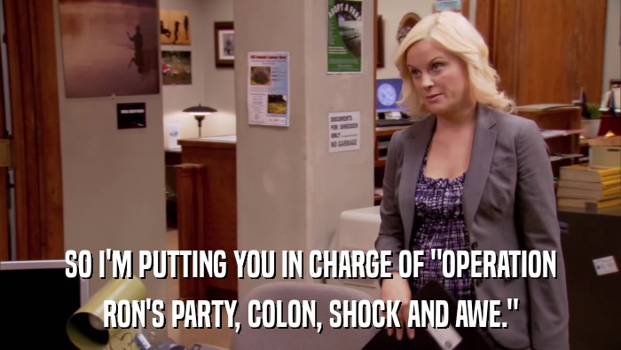 SO I'M PUTTING YOU IN CHARGE OF 