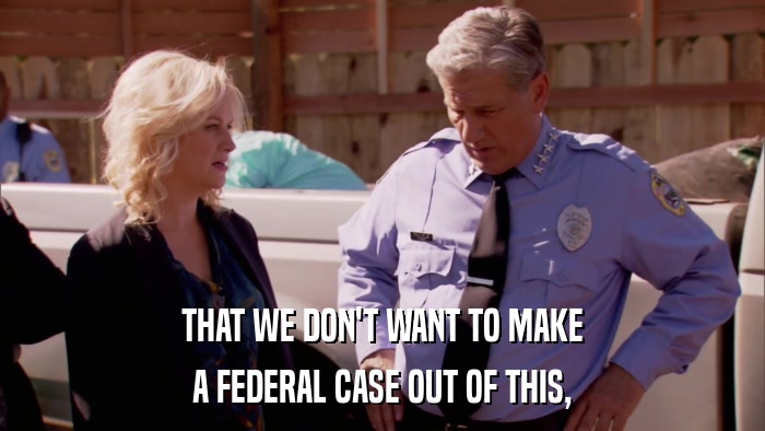 THAT WE DON'T WANT TO MAKE A FEDERAL CASE OUT OF THIS, 