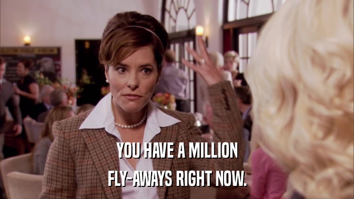 YOU HAVE A MILLION FLY-AWAYS RIGHT NOW. 