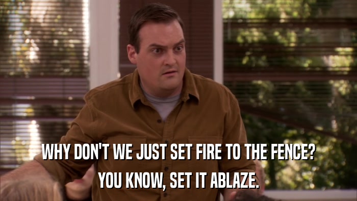 WHY DON'T WE JUST SET FIRE TO THE FENCE? YOU KNOW, SET IT ABLAZE. 
