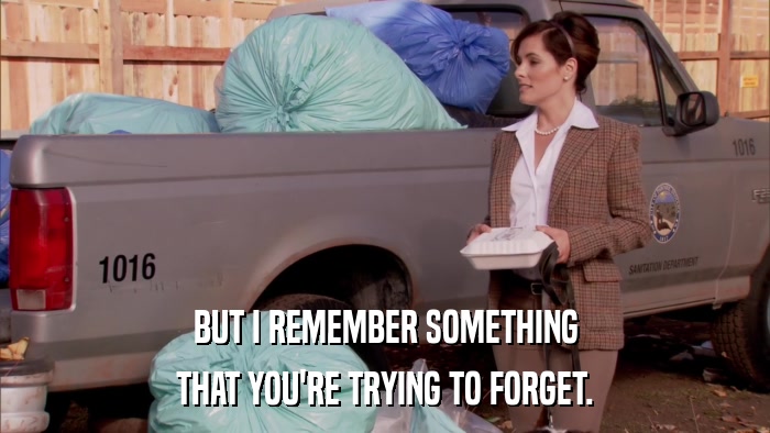BUT I REMEMBER SOMETHING THAT YOU'RE TRYING TO FORGET. 