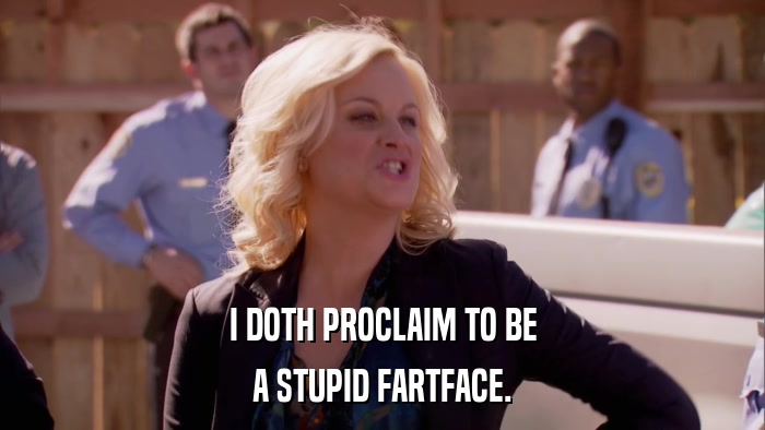 I DOTH PROCLAIM TO BE A STUPID FARTFACE. 