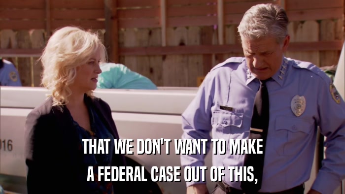 THAT WE DON'T WANT TO MAKE A FEDERAL CASE OUT OF THIS, 