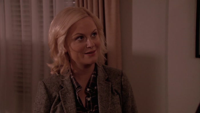 WHY WOULD I THROW RON SWANSON AN ANN PERKINS PARTY? 