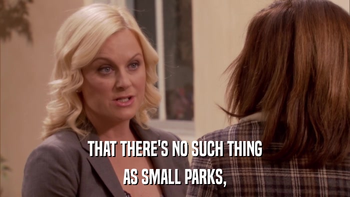 THAT THERE'S NO SUCH THING AS SMALL PARKS, 