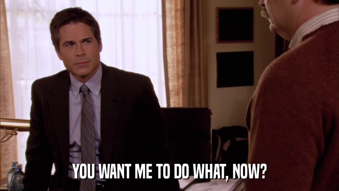 YOU WANT ME TO DO WHAT, NOW?  