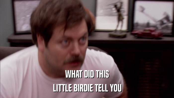 WHAT DID THIS LITTLE BIRDIE TELL YOU 