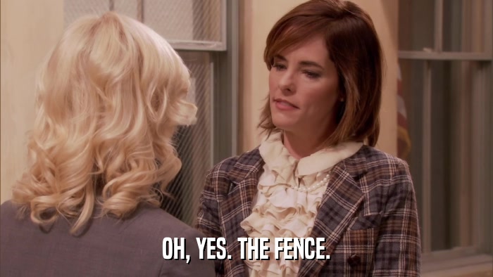 OH, YES. THE FENCE.  
