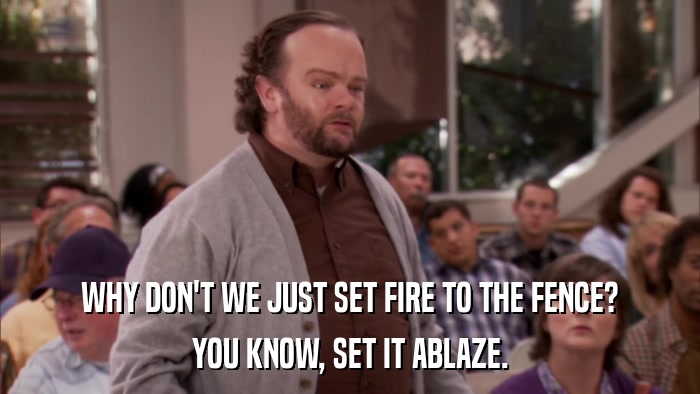 WHY DON'T WE JUST SET FIRE TO THE FENCE? YOU KNOW, SET IT ABLAZE. 