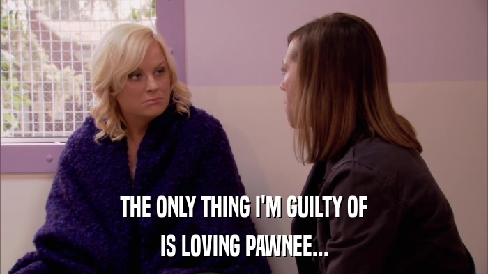 THE ONLY THING I'M GUILTY OF IS LOVING PAWNEE... 