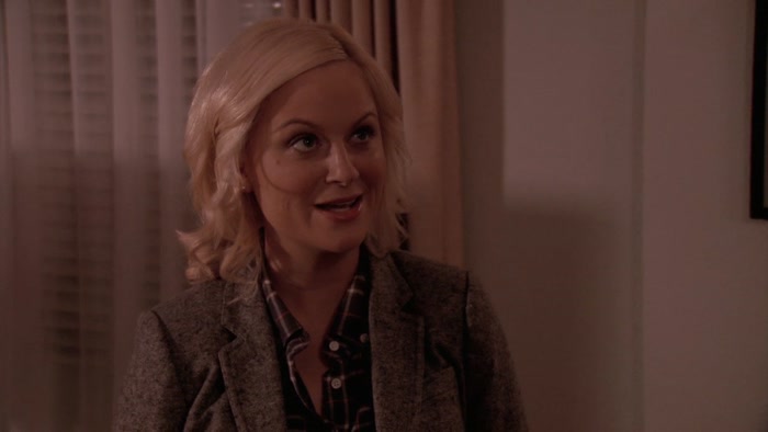 WHY WOULD I THROW RON SWANSON AN ANN PERKINS PARTY? 
