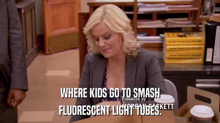 WHERE KIDS GO TO SMASH FLUORESCENT LIGHT TUBES. 