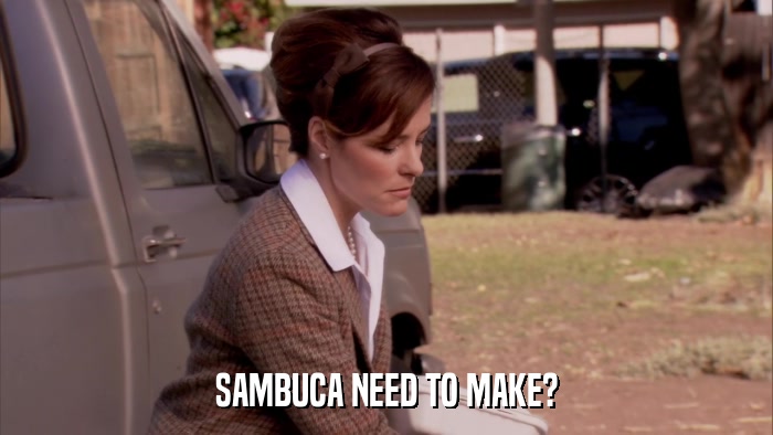 SAMBUCA NEED TO MAKE?  