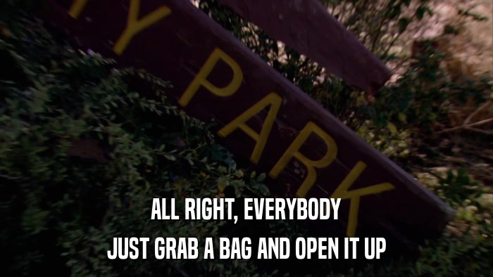 ALL RIGHT, EVERYBODY JUST GRAB A BAG AND OPEN IT UP 